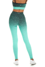 Ombre Best Fit Leggings